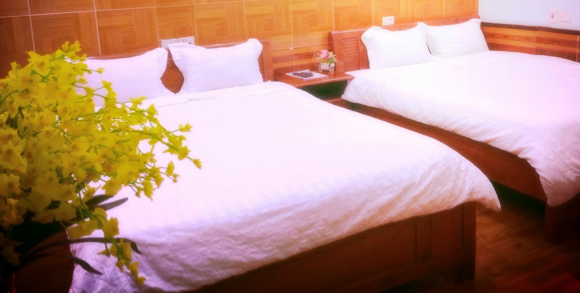 Noi Bai Family Homestay Exterior photo